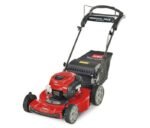 Toro Recycler Self-Propelled Mower 163cc Briggs & Stratton 7.25 TP (22") #21462