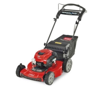 Toro Recycler Self-Propelled Mower 163cc Briggs & Stratton 7.25 TP (22") #21462
